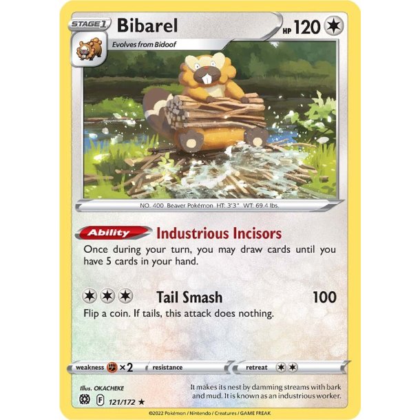 Bibarel Rare