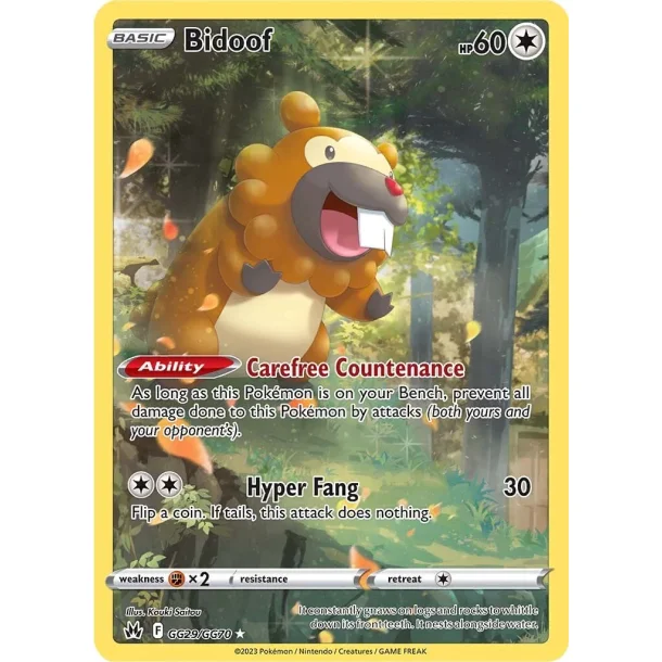Bidoof Art Rare