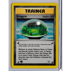 Ecogym 1st Edition (brugt)
