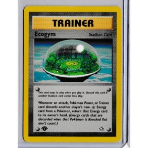 Ecogym 1st Edition (brugt)