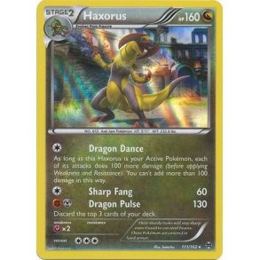 Haxorus Holo Rare