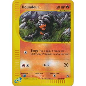 Houndour Reverse Holo