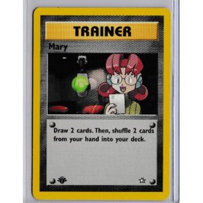 Mary 1st Edition (brugt)