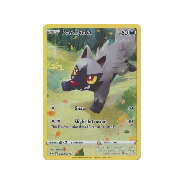 Poochyena Art Rare