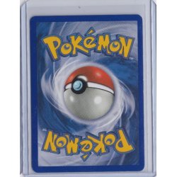 Team Aqua's Crawdaunt Holo Rare (brugt)