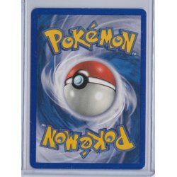 Team Aqua's Walrein Holo Rare (brugt)