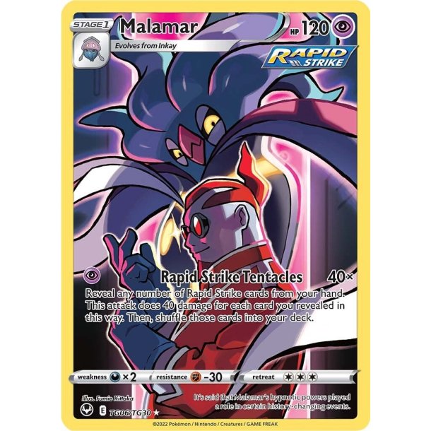 Malamar Trainer Gallery