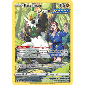 Passimian Trainer Gallery