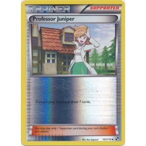 Professor Juniper Holo