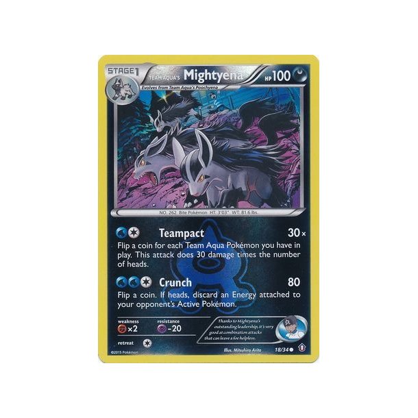 Team Aqua's Mightyena Holo