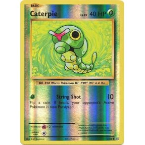 Caterpie Holo