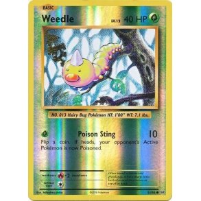 Weedle Holo