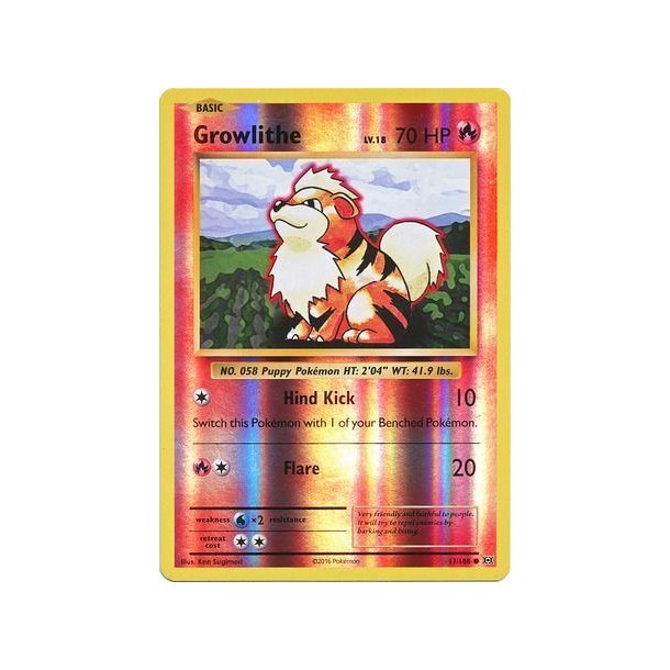 Growlithe Holo