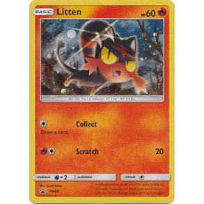 Litten Holo Rare