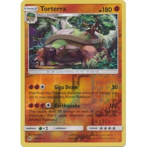 Torterra Holo Rare