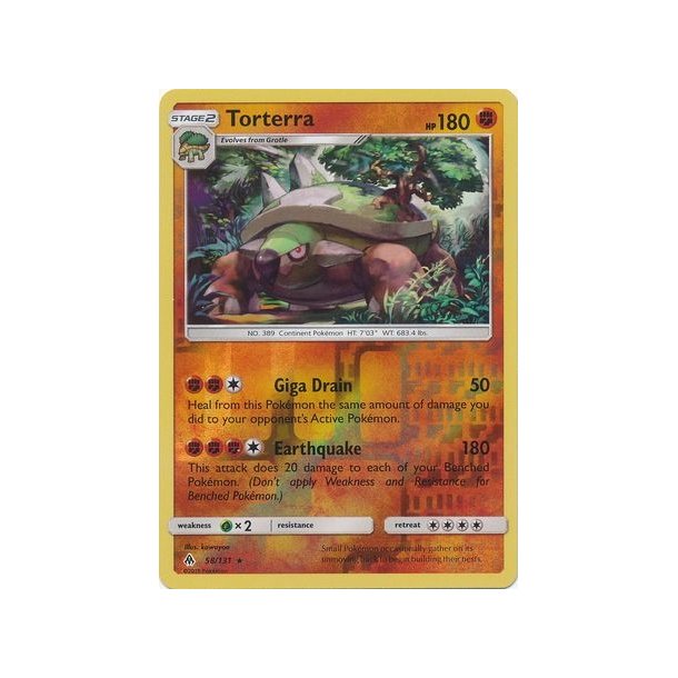 Torterra Holo Rare
