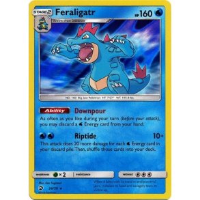 Feraligatr Holo Rare
