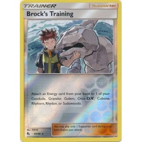 Brock's Training Holo Rare