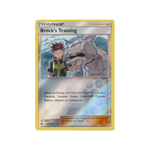Brock's Training Holo Rare