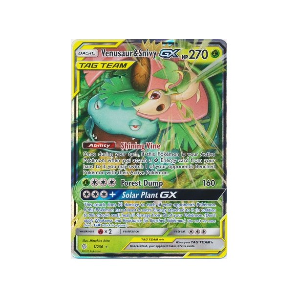 Venusaur &amp; Snivy GX