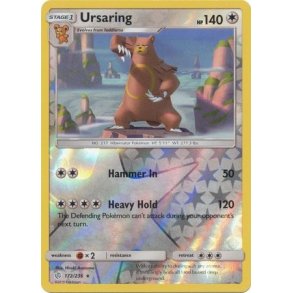 Ursaring Holo Rare