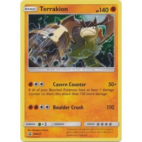 Terrakion Holo Rare