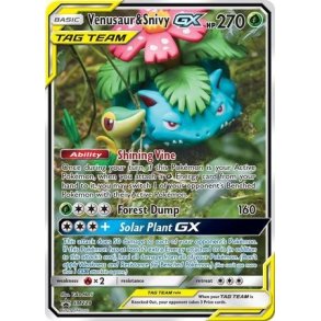 Venusaur & Snivy GX