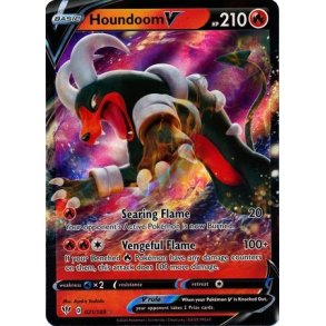 Houndoom V