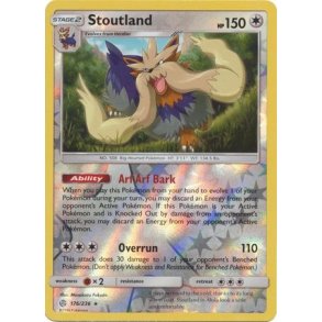 Stoutland Holo Rare